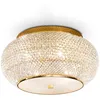 Image de PACHA 'PL6 ORO