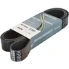 Image de Dayco 10PK1850HD Courroie Striée HD