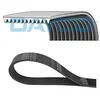 Image de DAYCO 12PK1865HD Courroie