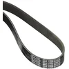 Image de Dayco 8PK1805HD Courroie Striée HD