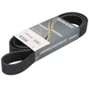 Image de Dayco 8PK1710HD Courroie Striée HD