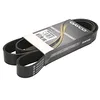 Image de Dayco 8PK1655HD Courroie Striée HD