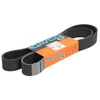 Image de Dayco 10PK1435HD Courroie Striée HD