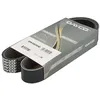 Image de Dayco 8PK980SHD Courroie Striée HD