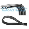 Image de Dayco 4PK1026HD Courroie Striée HD