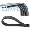 Image de Dayco 4PK844EE Courroie Striée Élastique