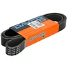 Image de Dayco 8PK1699HD Courroie Striée HD