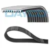Image de DAYCO Courroie trapézoïdale 9PK2313HD pour AXOR 2 2313,0 mm