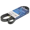 Image de DAYCO 6PK1555S Courroie Poly-V
