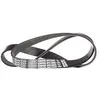 Image de DAYCO Courroie à nervures trapézoïdales 6PK1029EE