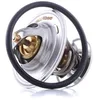 Image de DAYCO Thermostat, liquide de refroidissement DT1022V