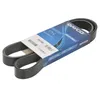 Image de DAYCO Courroie trapézoïdale à nervures pour NISSAN MICRA IV (K13) NOTE (E12)