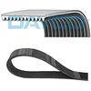 Image de DAYCO 12PK1730HD Courroie Poly-V