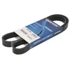 Image de DAYCO 6PK1190K Courroie Poly-V