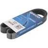 Image de DAYCO Courroie à nervures trapézoïdales 7PK1020