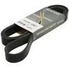 Image de DAYCO Courroie trapézoïdale 8PK1895HD pour CF pour XF 1895,0 mm