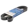 Image de DAYCO 6PK2535 Courroie Poly-V