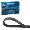 Image de Courroie trapézoïdale DAYCO 6PK952S