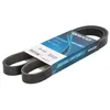 Image de Courroie trapézoïdale DAYCO 6PK1220S