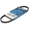 Image de Dayco 3PK590 Courroie Striée
