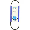 Image de Dayco 3PK600 Courroie Striée