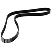 Image de DAYCO 6PK1160 Courroie Accessoire
