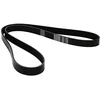 Image de DAYCO 6PK1335 Courroie Accessoire