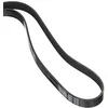 Image de DAYCO 6PK1975 Courroie Accessoire