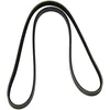 Image de DAYCO 4PK1125 Courroie Accessoire