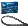 Image de Dayco 94123 Courroie Distribution