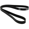 Image de DAYCO 6PK1341 Courroie Accessoire