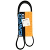 Image de Dayco 8PK1180HD Courroie Striée HD