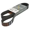 Image de Dayco 8PK1440HD Courroie Striée HD