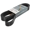 Image de Dayco 10PK2050HD Courroie Striée HD