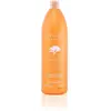 Image de Farmavita Argan Sublime Shampoing, 1 Unité (Lot de 1)