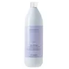 Image de Shampoing Améthyste Blonde Silver - 1000 ml