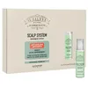 Image de Alfaparf Group Il Salone Milano Scalp System Energize Lotion Anticaduta 6x13ml 