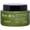 Image de Alfaparf Milano Benvoleo Recovery Mask 250ml - masque restructurant
