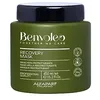 Image de Alfaparf Milano Benvoleo Recovery Mask 450ml - maschera ristrutturante