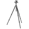 Image de Gitzo Mountaineer Kit Series 2, 4 Sections en Fibre de Carbone, avec Tête Fluide, Trépied Photo Pro, pour Reflex et Numériques, Trépied pour Caméras Vidéo et Appareils Photo, Contenir jusqu'à 13 Kg