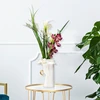 Image de Mauro Ferretti - Vase en porcelaine Elegant blanc/doré - 15x13.3x23.5 cm OS