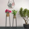 Image de Mauro Ferretti - 2 Porte-vases en métal square doré/noir OS