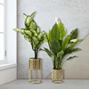 Image de Mauro Ferretti - 2 vases Golvy dorés - 23x23x42 cm OS