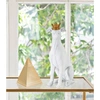 Image de Mauro Ferretti - Sculpture chien blanc/doré - 20x12.5x33 cm OS