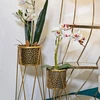 Image de Mauro Ferretti - Vases Paire dorés - 28x15x49 cm OS