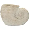 Image de Mauro Ferretti Italian Design Vase Shell Sand -A- MGO Beige 33 x 19 x 23