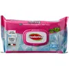 Image de Wipes inodorine Actualiser Talc, 40 unités (PET100100)