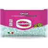 Image de Inodorina Wipes Inodorine Actualiser la Mousse Blanche, 40 unités