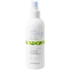 Image de milk_shake | No Frizz Allowed Anti-Humidity Spray 200 ml, Spray Lissant Protecteur pour Cheveux Frisés