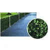 Image de Haie décorative Lierre h.100 M.3 ilcampo 03473 [le champ]